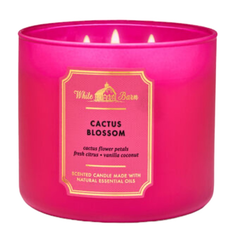 Cactus Blossom Candle